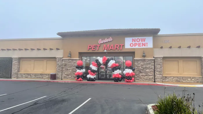 Carter’s Pet Mart Lodi Picture 2