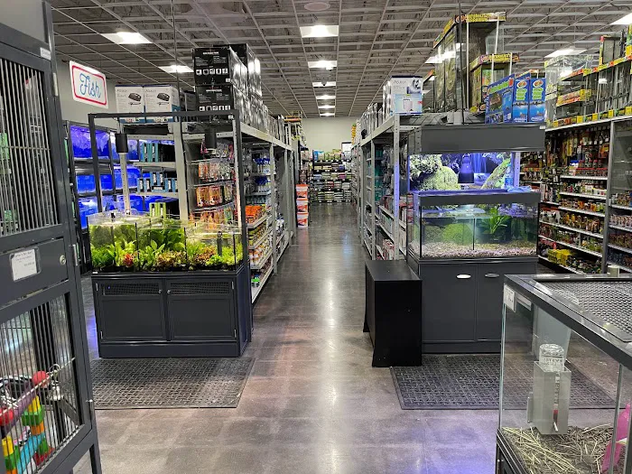 Carter’s Pet Mart Lodi Picture 10