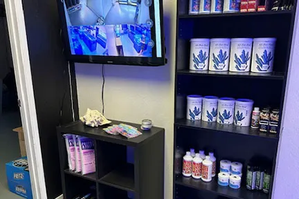 Islander Corals Picture 2