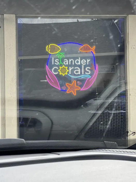 Islander Corals Picture 10