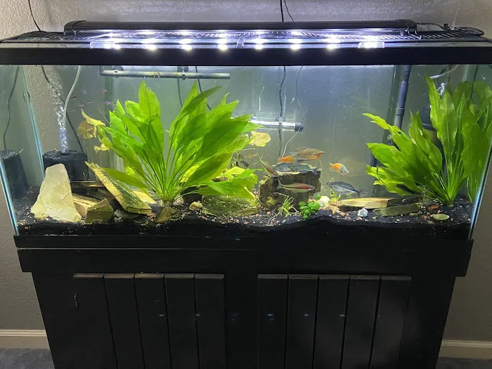 Sea Splendor Aquarium Picture 3