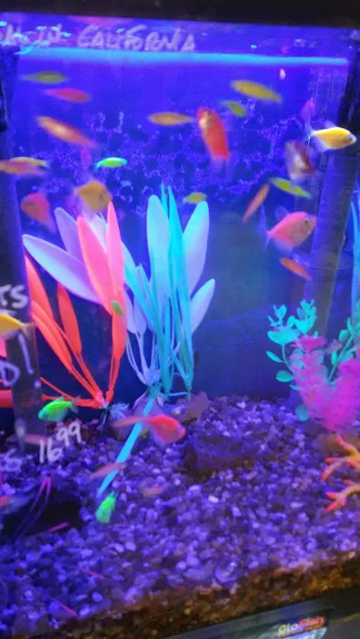 Sea Splendor Aquarium Picture 5