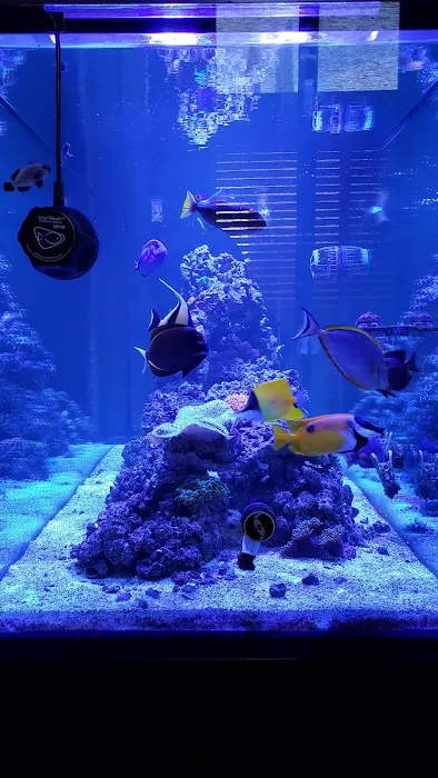 AquaLifeStudio (call for appointment) Picture 1