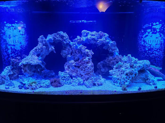 AquaLifeStudio (call for appointment) Picture 6