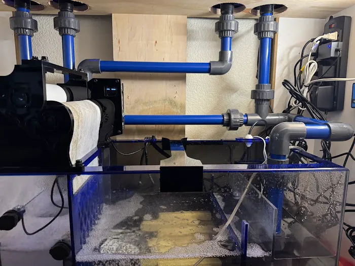 AquaLifeStudio (call for appointment) Picture 9