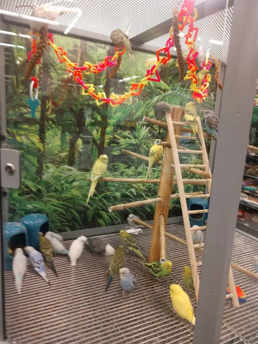 Petco Picture 3