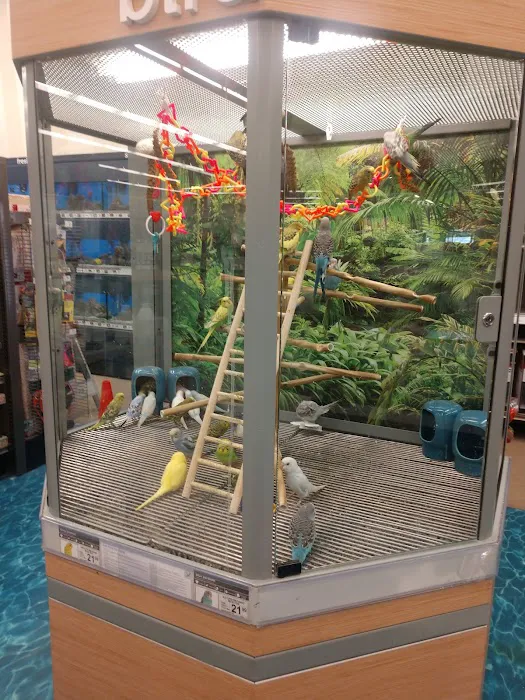 Petco Picture 7