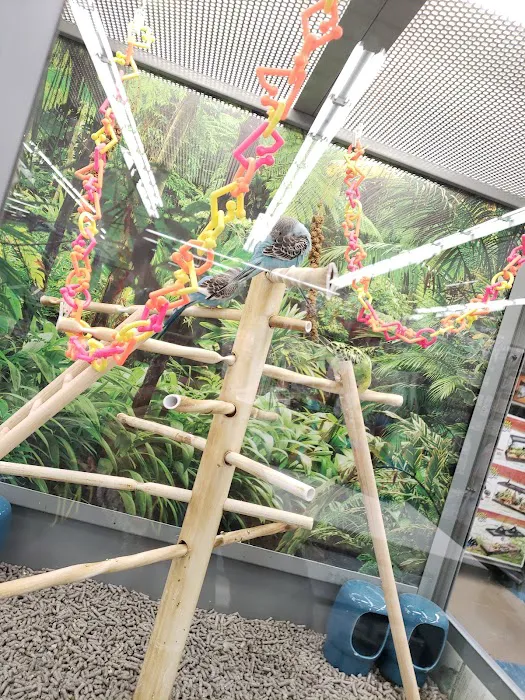 Petco Picture 9