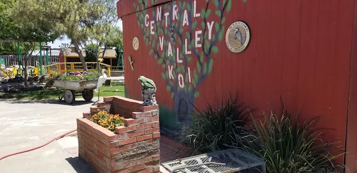 Central Valley Koi Picture 1