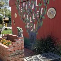 Central Valley Koi ico