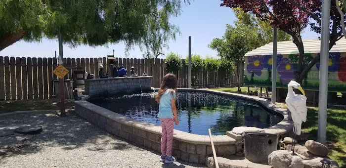 Central Valley Koi Picture 4