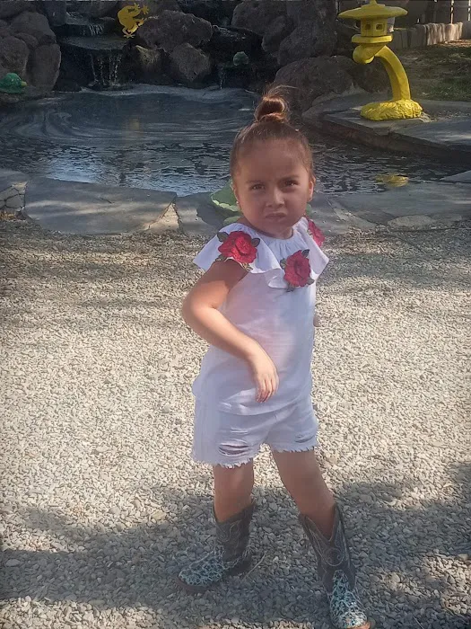 Central Valley Koi Picture 5