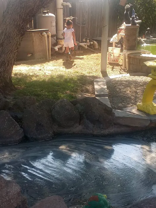 Central Valley Koi Picture 6