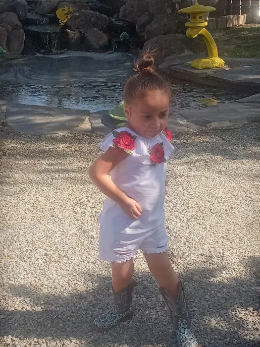 Central Valley Koi Picture 8