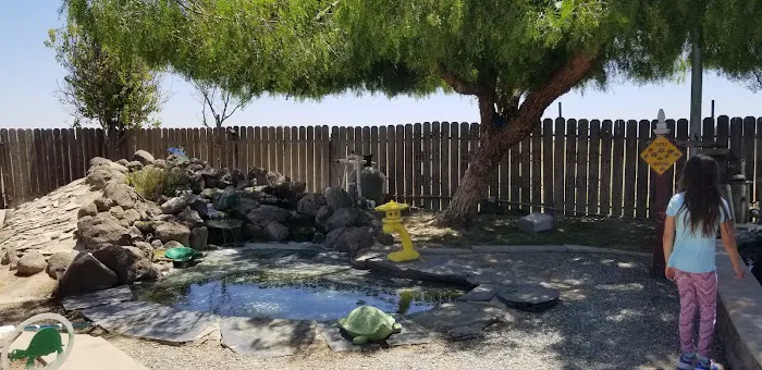 Central Valley Koi Picture 9