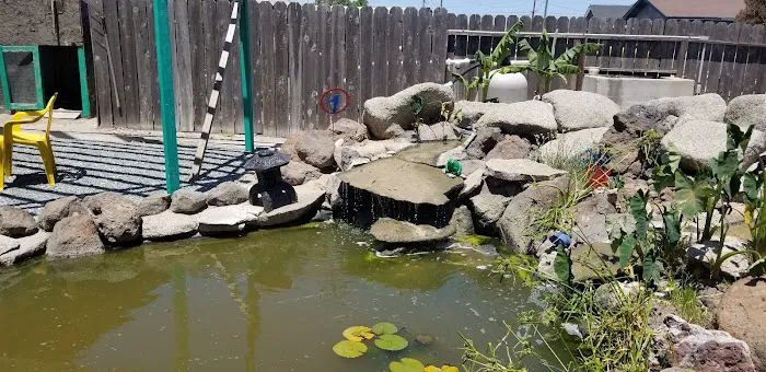 Central Valley Koi Picture 10