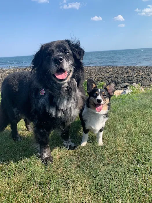 Nashua Pet Care Clinic Picture 4