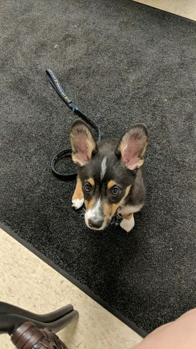 Nashua Pet Care Clinic Picture 7