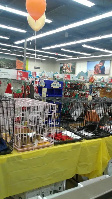 Petco Picture 3