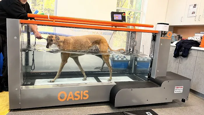 NH Pet Physical Rehabilitation Center Picture 2