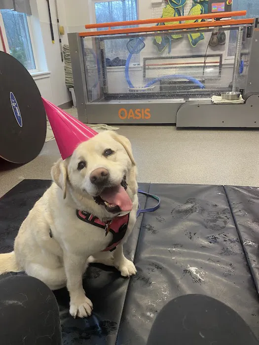 NH Pet Physical Rehabilitation Center Picture 5