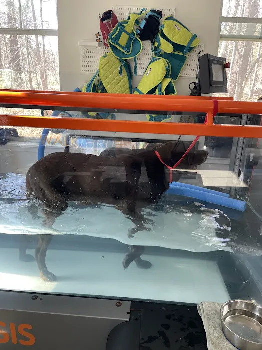 NH Pet Physical Rehabilitation Center Picture 4