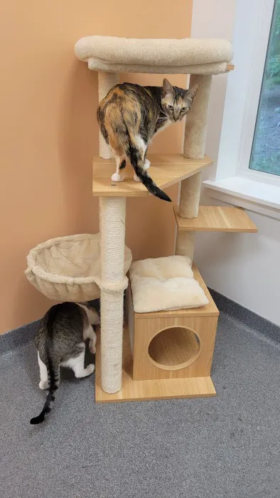 Lowell Road Veterinary Center Picture 2