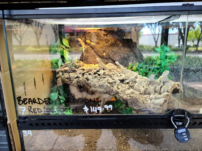 The Serpentarium Picture 2