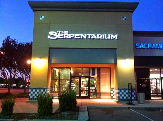 The Serpentarium Picture 4