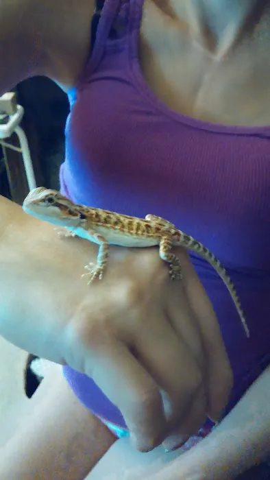 The Serpentarium Picture 3