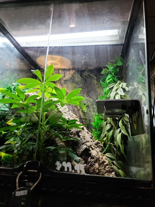 The Serpentarium Picture 8