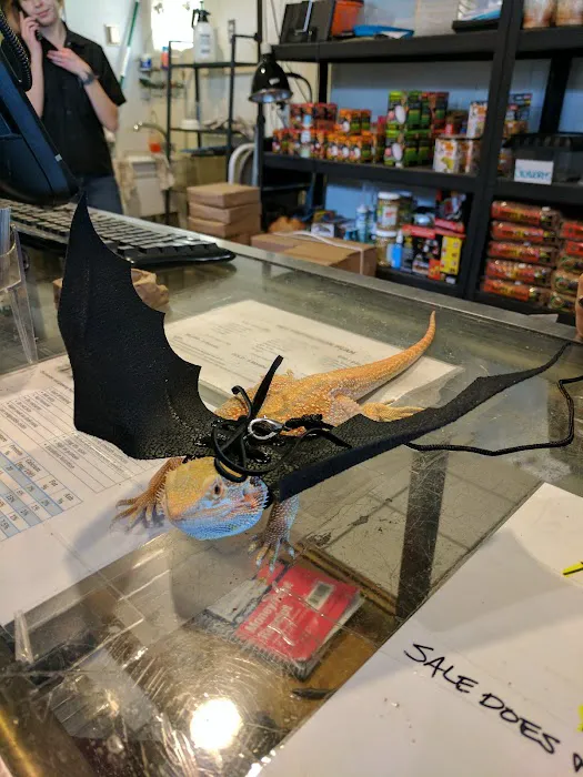 The Serpentarium Picture 6