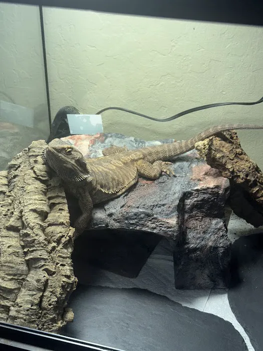 The Serpentarium Picture 10