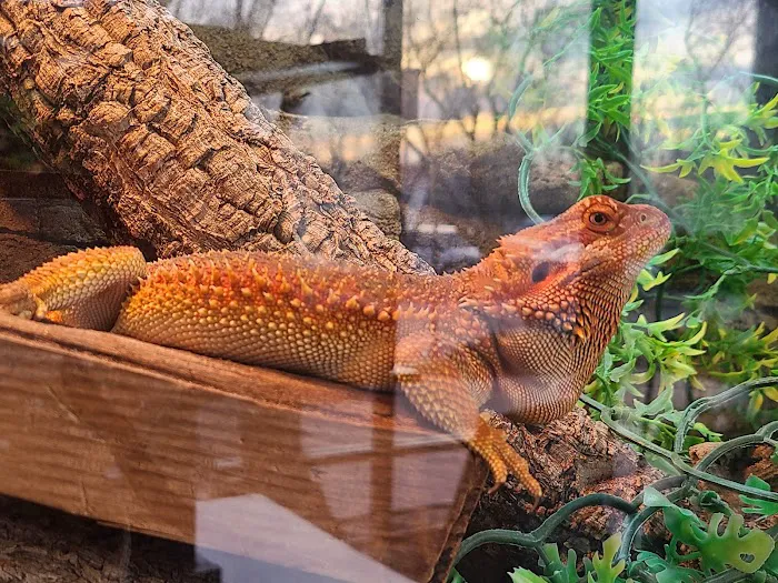 The Serpentarium Picture 9