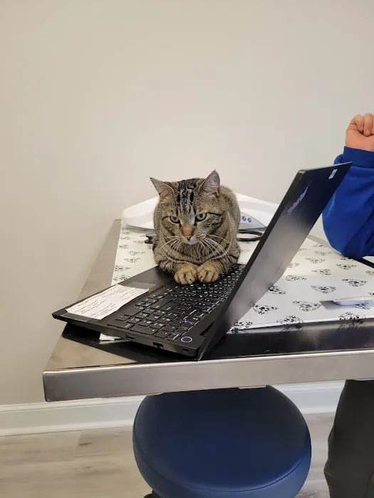 Hudson Veterinary Care Picture 1