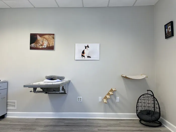 Hudson Veterinary Care Picture 7