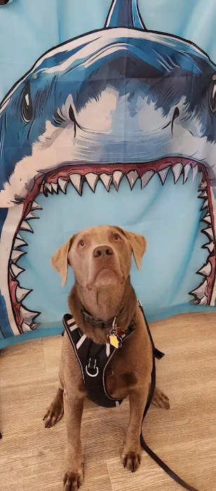 Hudson Veterinary Care Picture 9