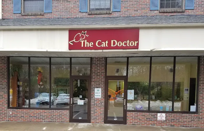 The Cat Doctor Picture 2