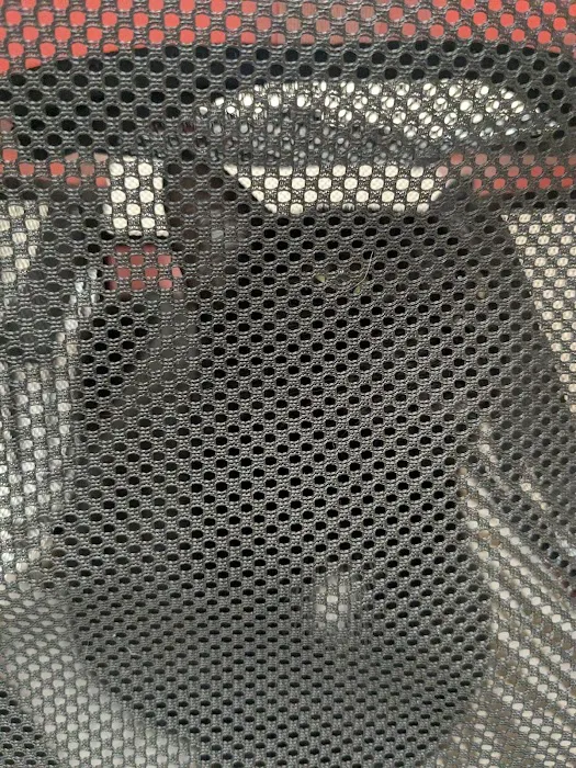 The Cat Doctor Picture 6