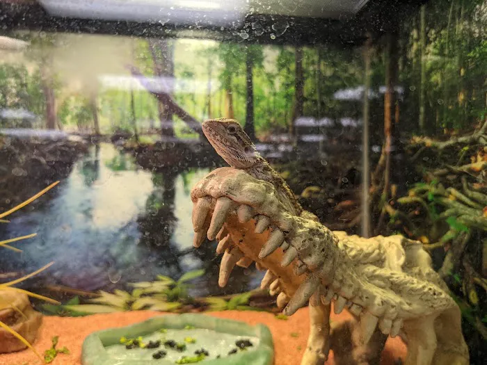 Pets To Go Picture 6