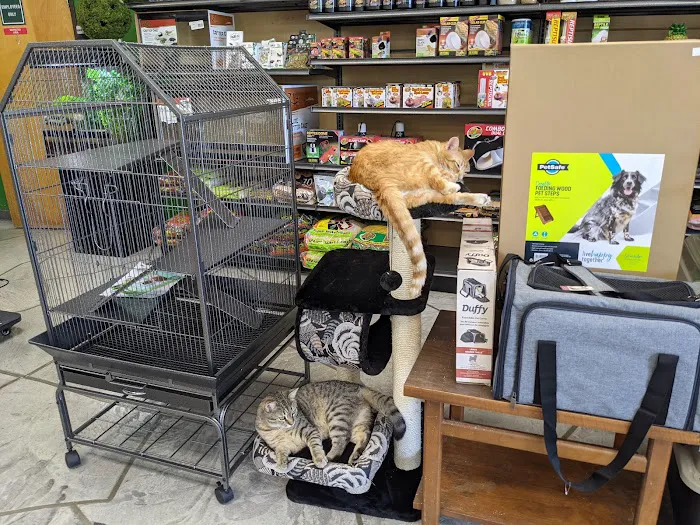 Pets To Go Picture 2