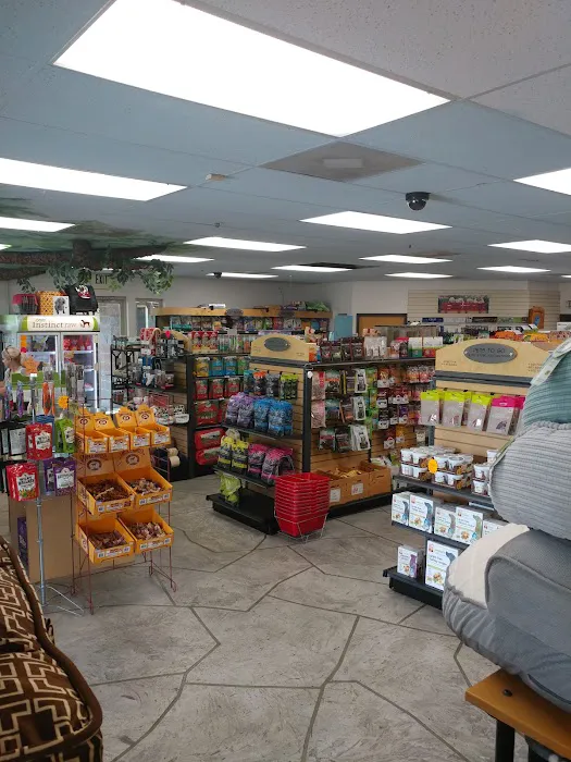 Pets To Go Picture 8