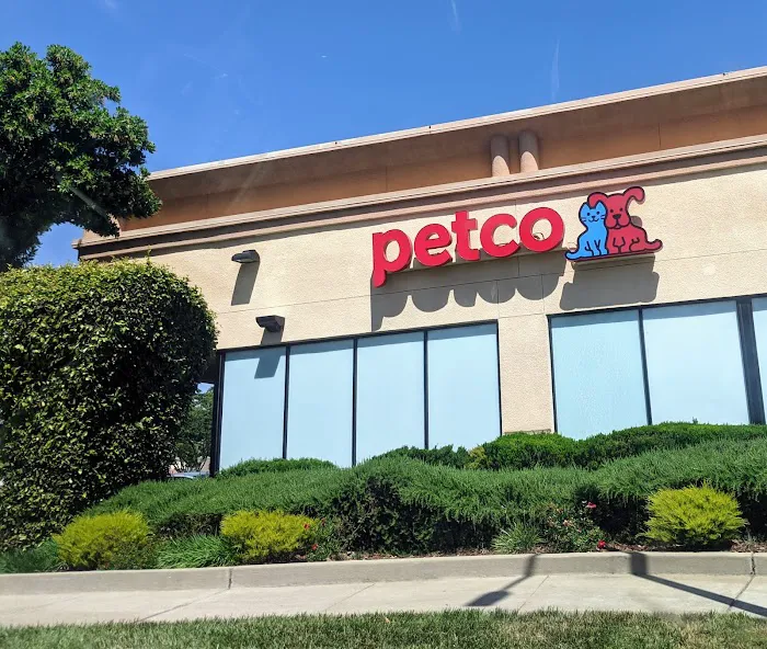 Petco Picture 3