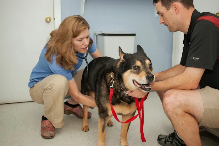 Lexington-Bedford Veterinary Hospital Picture 2