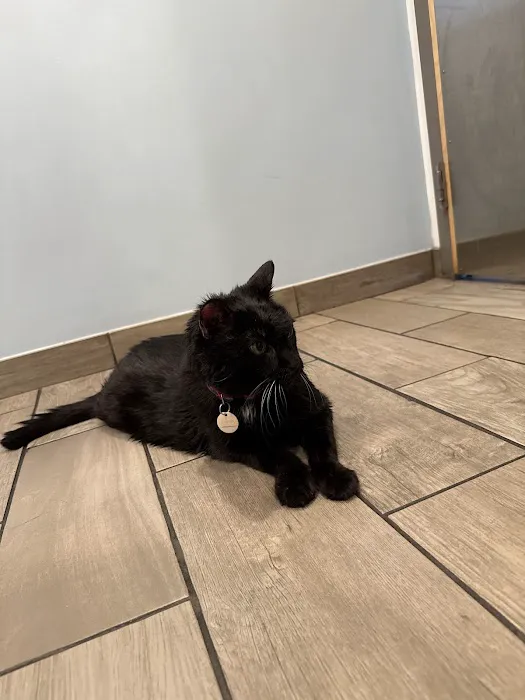 Lexington-Bedford Veterinary Hospital Picture 1