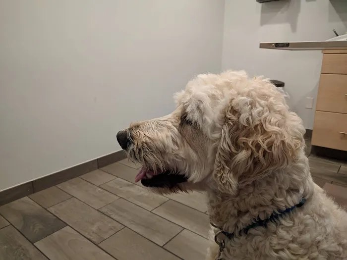 Lexington-Bedford Veterinary Hospital Picture 9