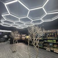 Capital city reptiles ico