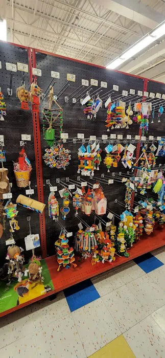 Petco Picture 5