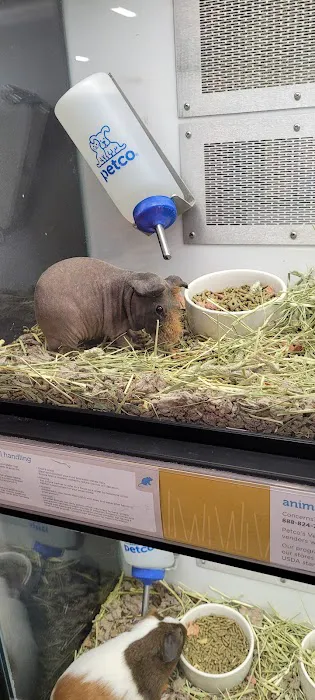 Petco Picture 4