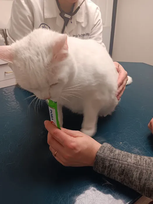 Lake Katrine Animal Hospital Picture 1